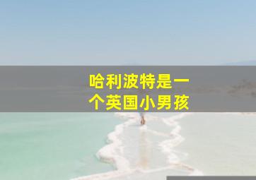 哈利波特是一个英国小男孩