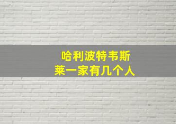 哈利波特韦斯莱一家有几个人