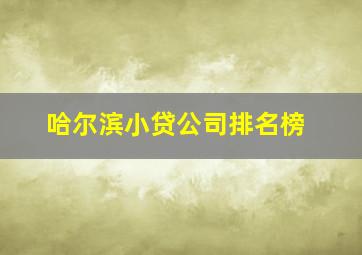 哈尔滨小贷公司排名榜