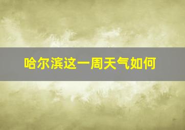 哈尔滨这一周天气如何