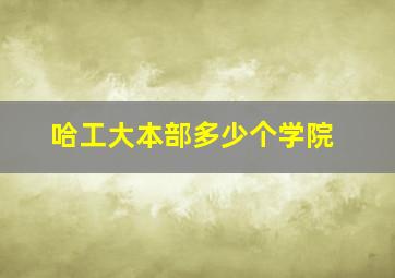 哈工大本部多少个学院