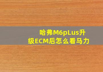 哈弗M6pLus升级ECM后怎么看马力