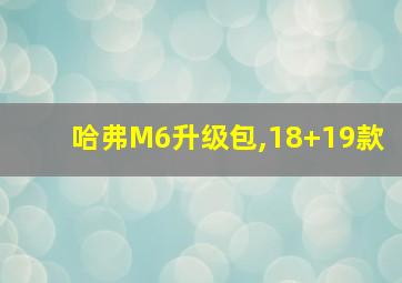 哈弗M6升级包,18+19款