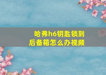 哈弗h6钥匙锁到后备箱怎么办视频