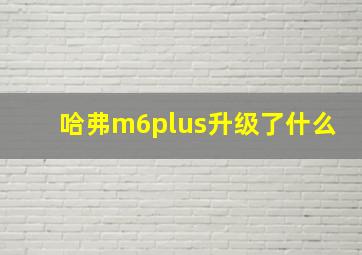 哈弗m6plus升级了什么