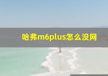 哈弗m6plus怎么没网