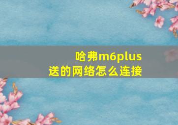 哈弗m6plus送的网络怎么连接