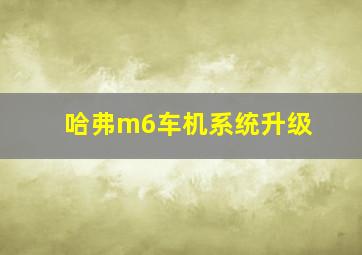 哈弗m6车机系统升级