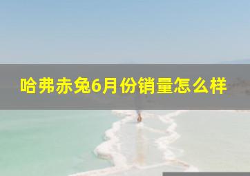 哈弗赤兔6月份销量怎么样