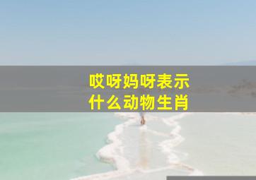 哎呀妈呀表示什么动物生肖