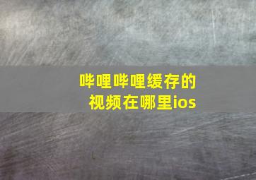 哔哩哔哩缓存的视频在哪里ios