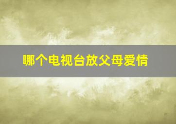 哪个电视台放父母爱情