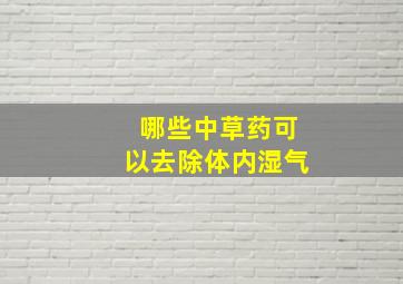 哪些中草药可以去除体内湿气