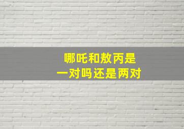 哪吒和敖丙是一对吗还是两对