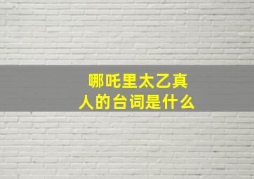 哪吒里太乙真人的台词是什么