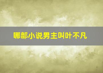 哪部小说男主叫叶不凡