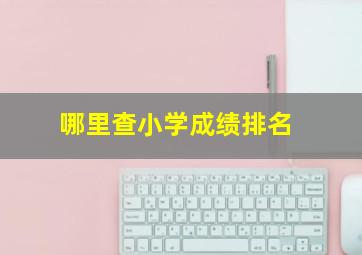 哪里查小学成绩排名