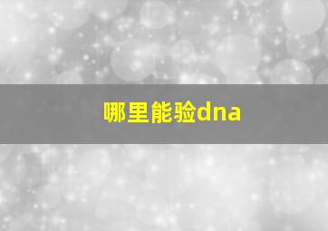 哪里能验dna