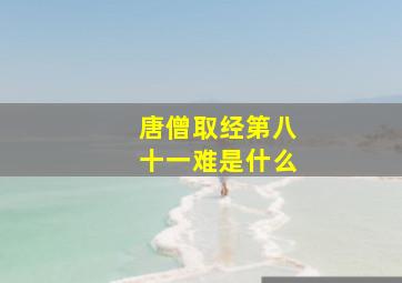 唐僧取经第八十一难是什么