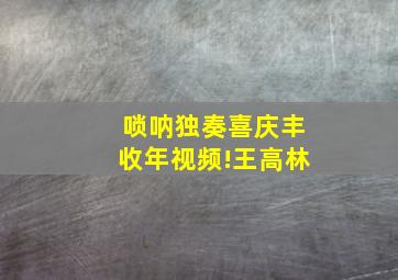 唢呐独奏喜庆丰收年视频!王高林