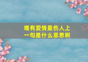 唯有爱情最伤人上一句是什么意思啊