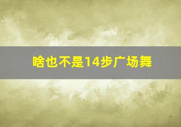 啥也不是14步广场舞