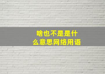 啥也不是是什么意思网络用语