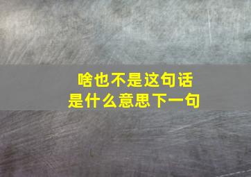 啥也不是这句话是什么意思下一句