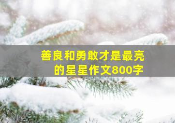 善良和勇敢才是最亮的星星作文800字