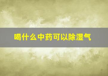 喝什么中药可以除湿气