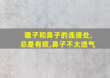 嗓子和鼻子的连接处,总是有痰,鼻子不太透气