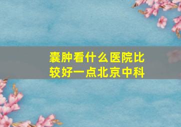 囊肿看什么医院比较好一点北京中科