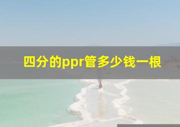 四分的ppr管多少钱一根