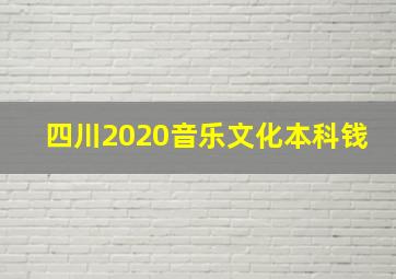 四川2020音乐文化本科钱