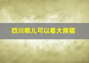 四川哪儿可以看大熊猫