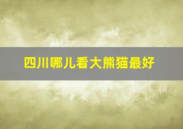 四川哪儿看大熊猫最好