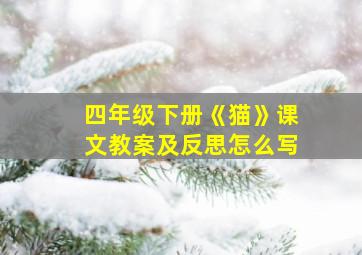 四年级下册《猫》课文教案及反思怎么写