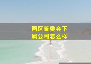 园区管委会下属公司怎么样