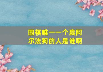 围棋唯一一个赢阿尔法狗的人是谁啊