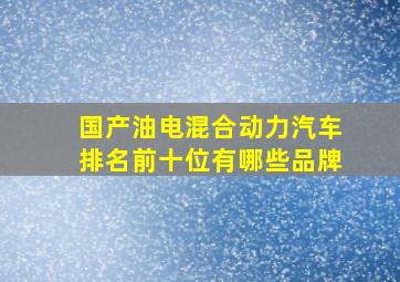 国产油电混合动力汽车排名前十位有哪些品牌