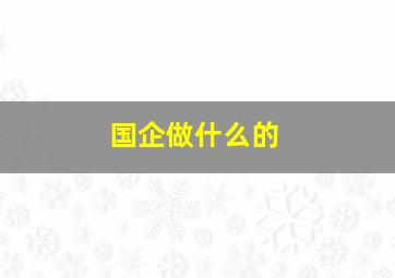 国企做什么的