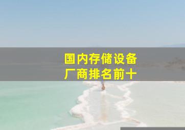 国内存储设备厂商排名前十