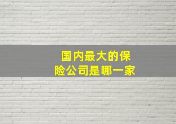 国内最大的保险公司是哪一家