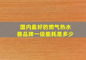 国内最好的燃气热水器品牌一级能耗是多少