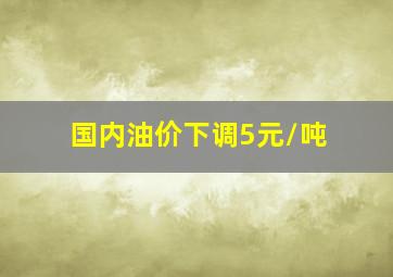 国内油价下调5元/吨