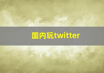 国内玩twitter