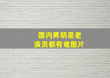 国内男明星老演员都有谁图片