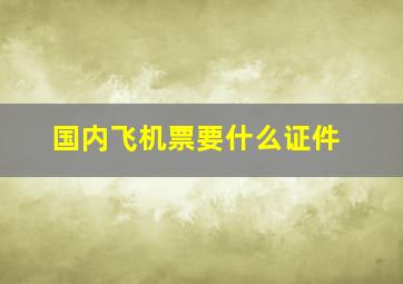 国内飞机票要什么证件