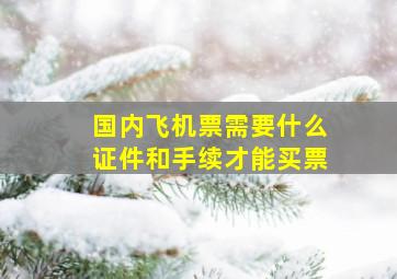 国内飞机票需要什么证件和手续才能买票