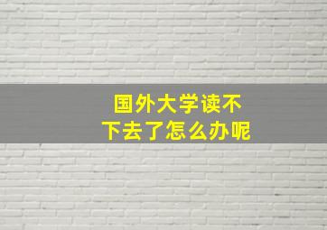 国外大学读不下去了怎么办呢